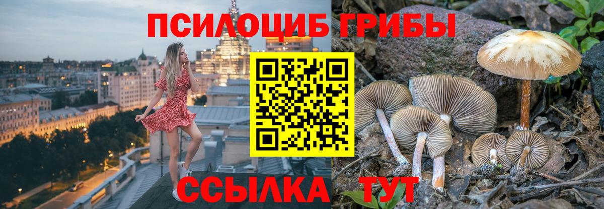 Галлюциногенные грибы GOLDEN TEACHER Зеленогорск